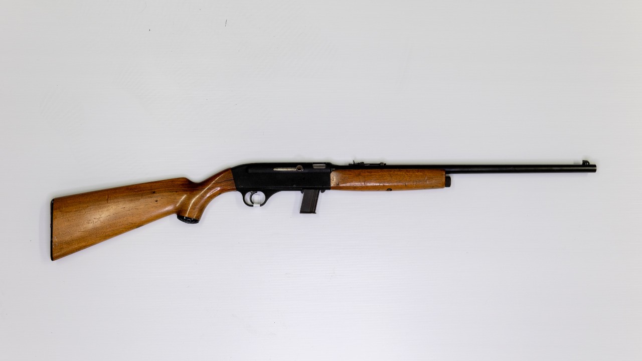 A .22 rifle.