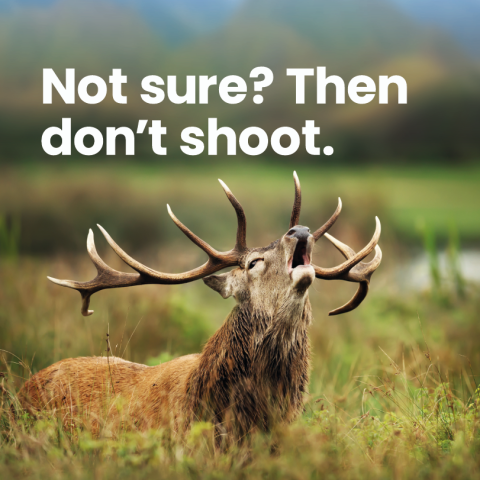 FSA_roar_campaign_dont_shoot