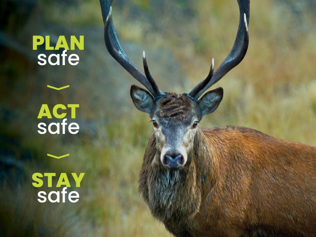 te-tari-p-reke-firearms-safety-authority-new-zealand