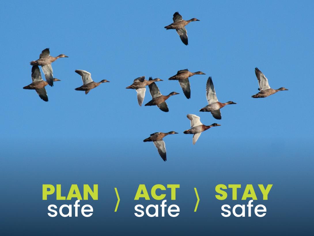 A flock of ducks flying in v formation on a clear blue sky background. The words 'Plan safe, act safe, stay safe' accompany them.